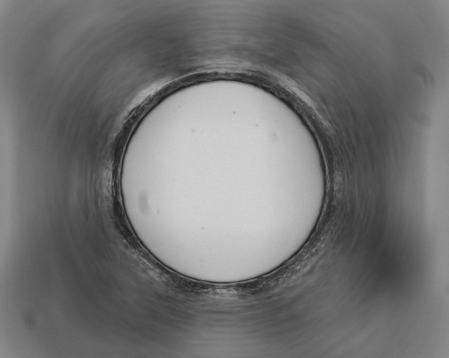 X0000112961315200909241152