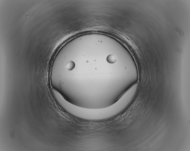 X0000112961316200909241152