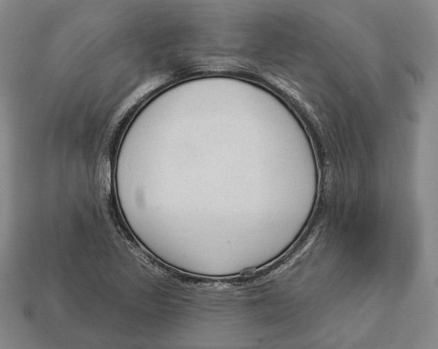 X0000112961317200909241152