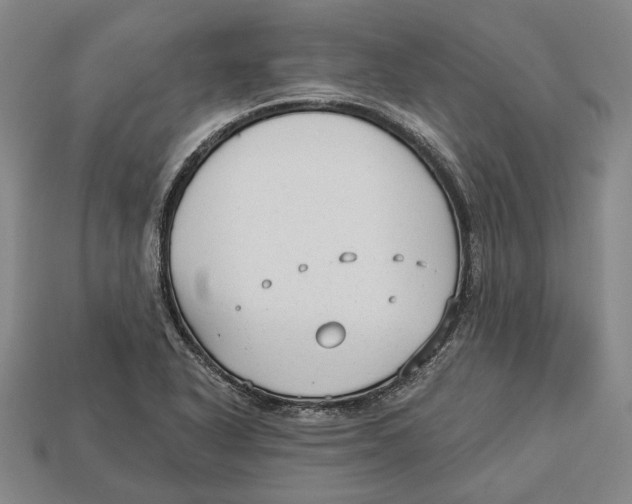 X0000112961318200909241152