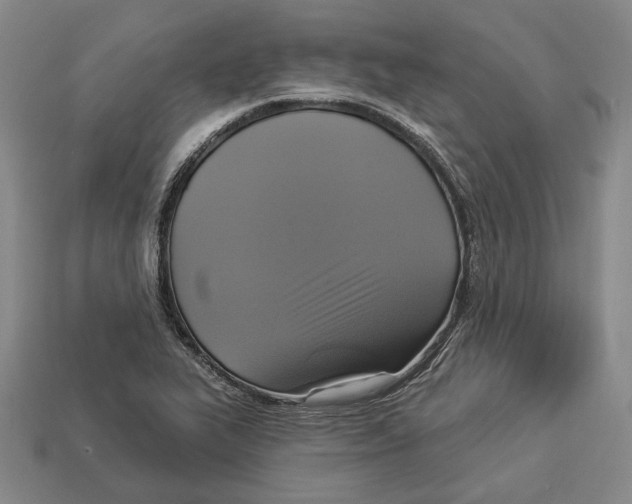 X0000112961319200909241152