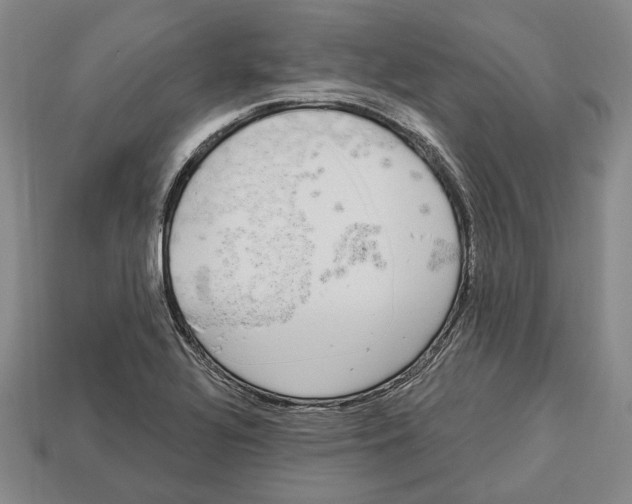 X0000112961320200909241152