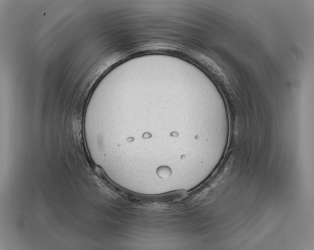 X0000112961321200909241152