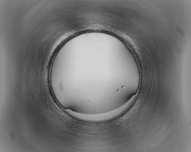 X0000112961326200909241152