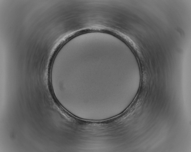 X0000112961327200909241152