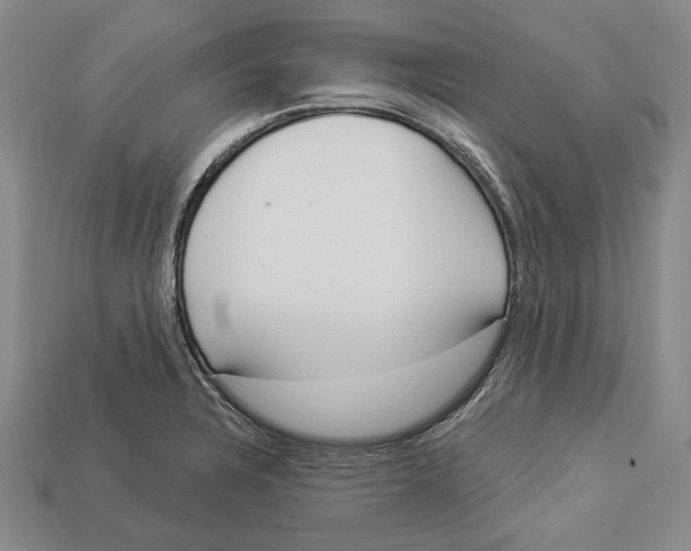 X0000112961328200909241152