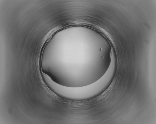 X0000112961330200909241152