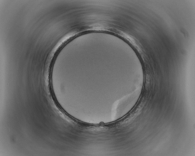 X0000112961331200909241152