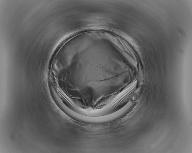 X0000112961334200909241152