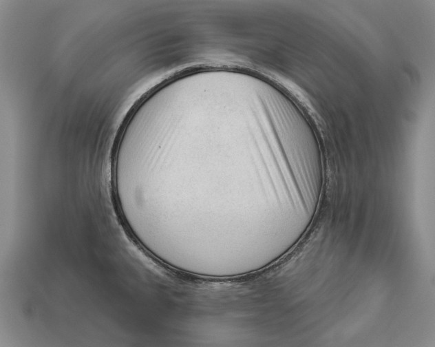 X0000112961335200909241152