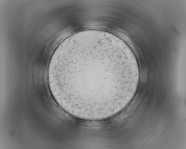 X0000112961338200909241152