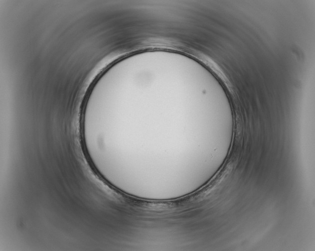 X0000112961339200909241152