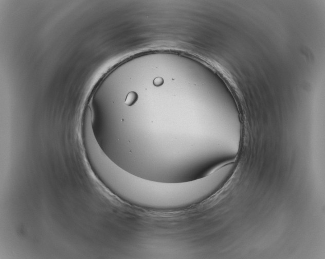 X0000112961342200909241152