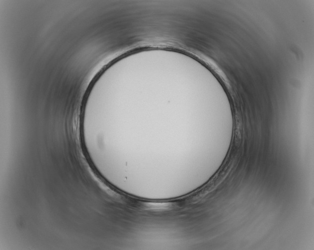 X0000112961343200909241152