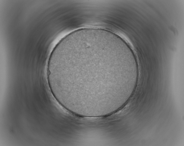 X0000112961344200909241152