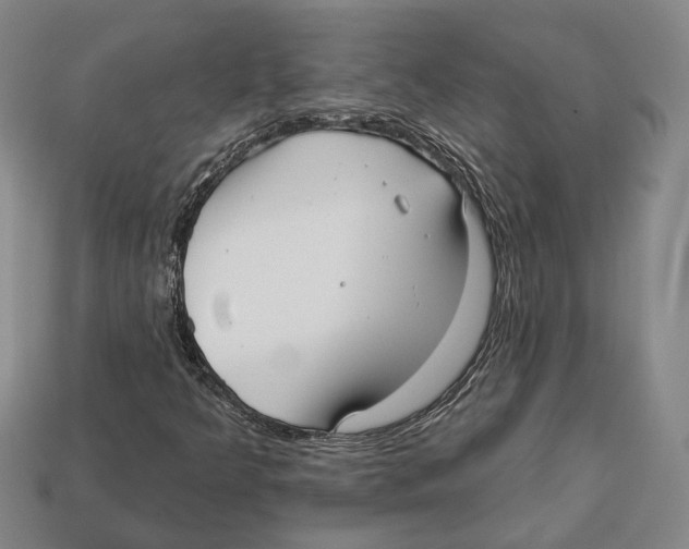 X0000112961349200909241151