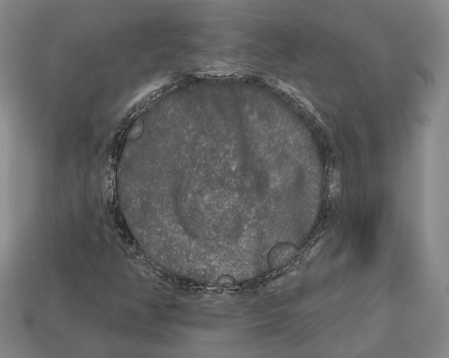 X0000112961350200909241151