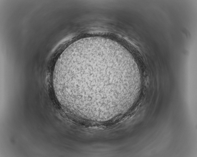 X0000112961351200909241151