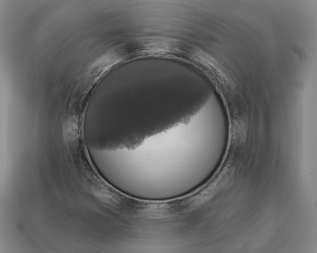 X0000112961353200909241151