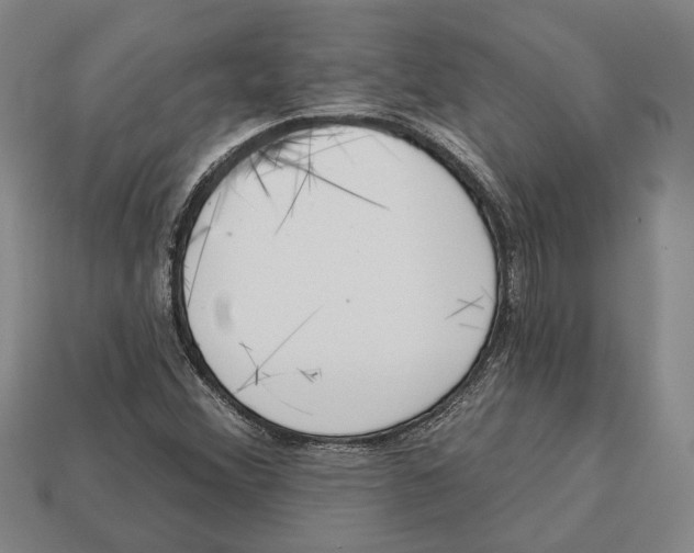 X0000112961356200909241151