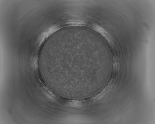 X0000112961357200909241151