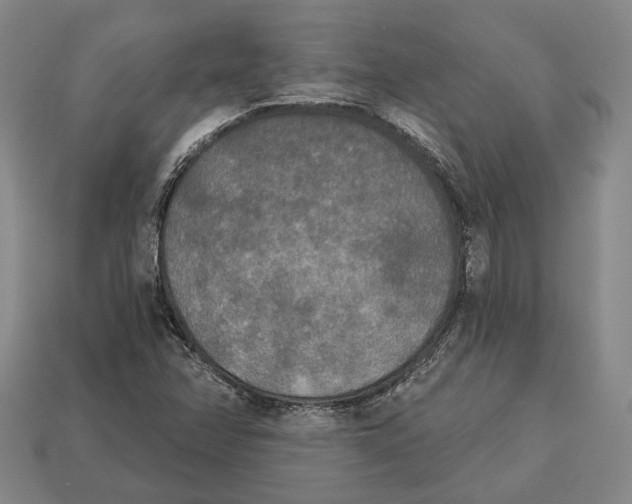 X0000112961358200909241151