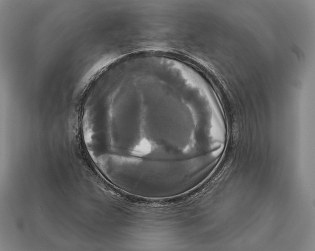 X0000112961359200909241151