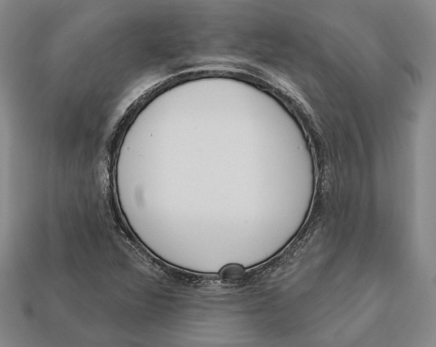 X0000112961360200909241151