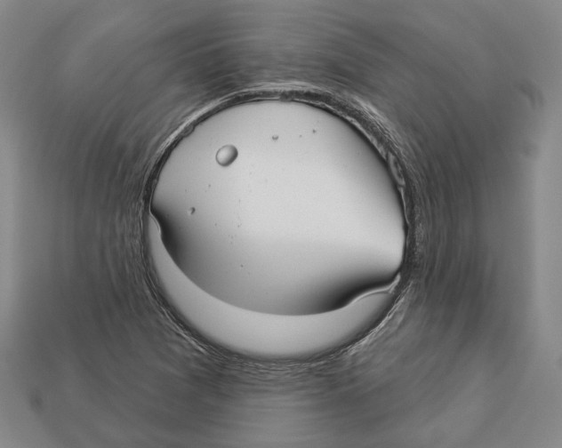 X0000112961361200909241151