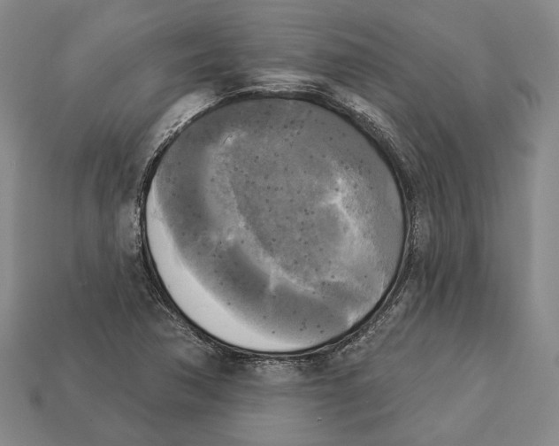 X0000112961362200909241151