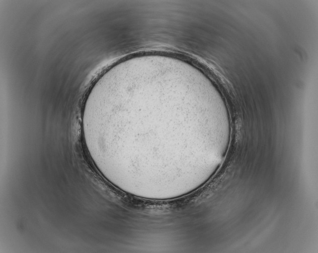 X0000112961363200909241151