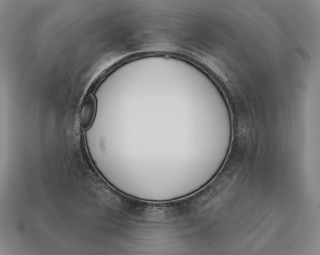 X0000112961364200909241151