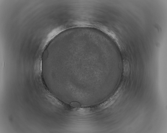 X0000112961365200909241151