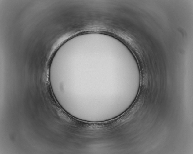 X0000112961366200909241151