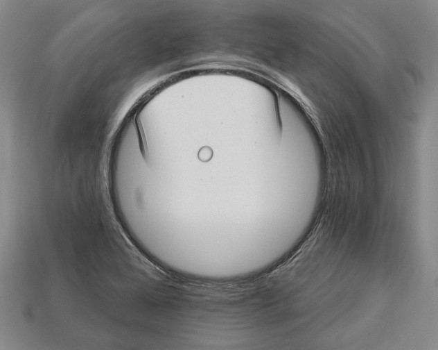 X0000112961368200909241151