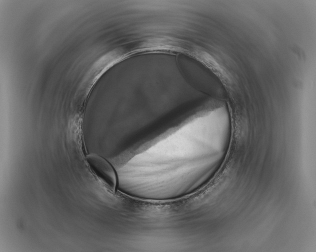 X0000112961369200909241151