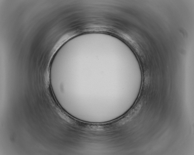 X0000112961370200909241151