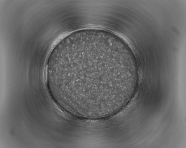 X0000112961371200909241151