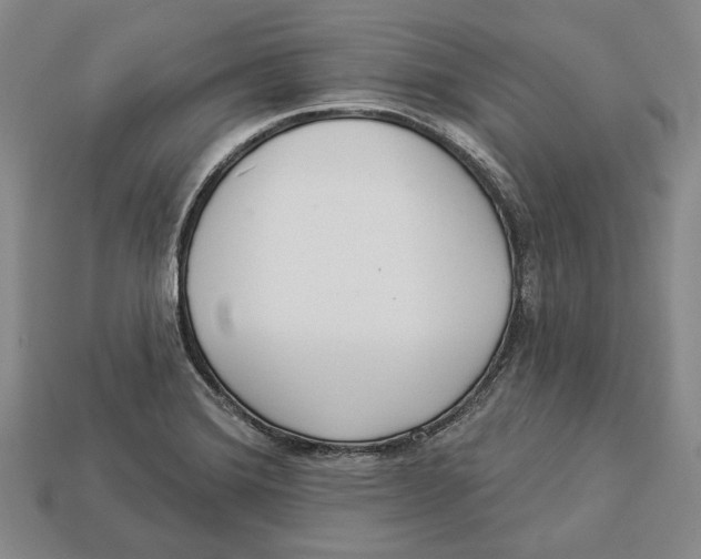 X0000112961372200909241151