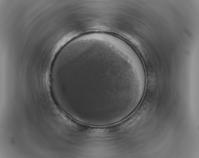 X0000112961373200909241151