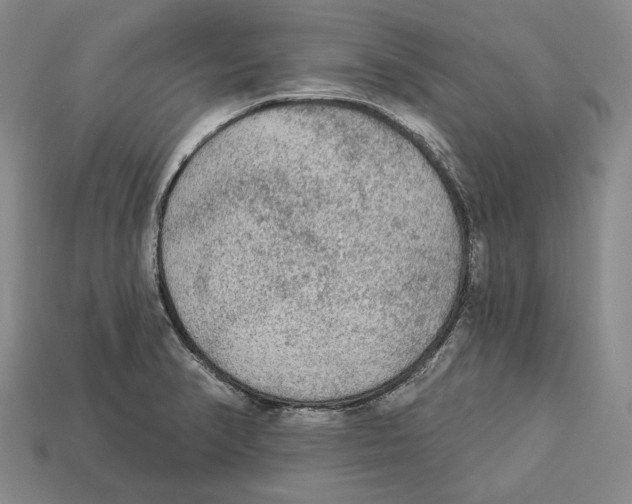 X0000112961374200909241151