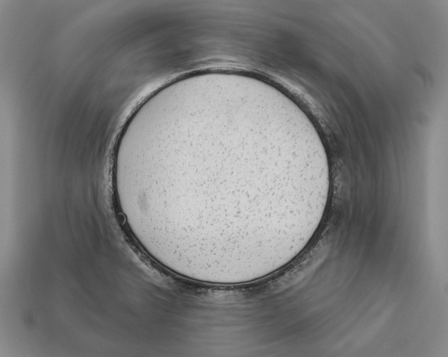 X0000112961375200909241151