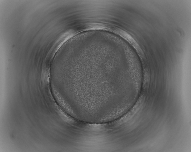 X0000112961377200909241151