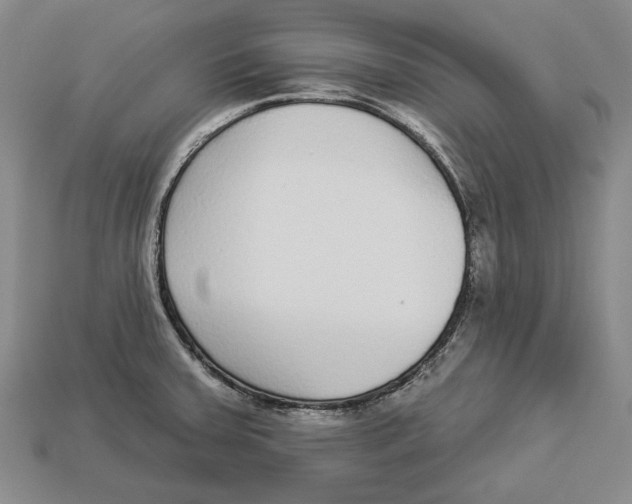 X0000112961379200909241151