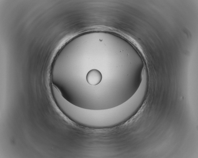 X0000112961381200909241151