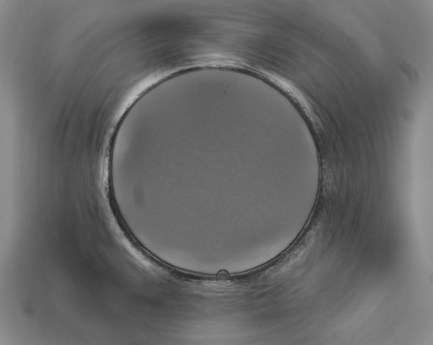 X0000112961383200909241151