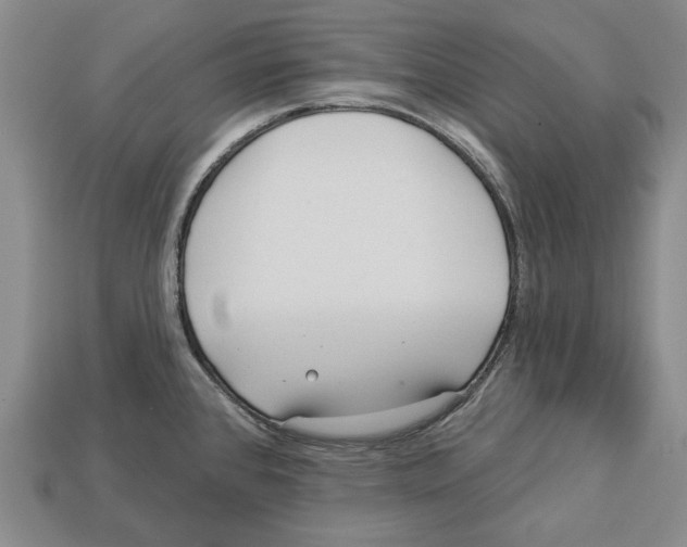 X0000112961384200909241151