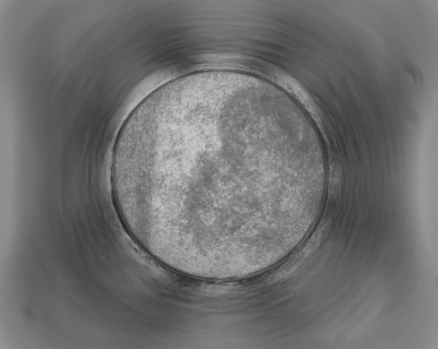 X0000112961386200909241151