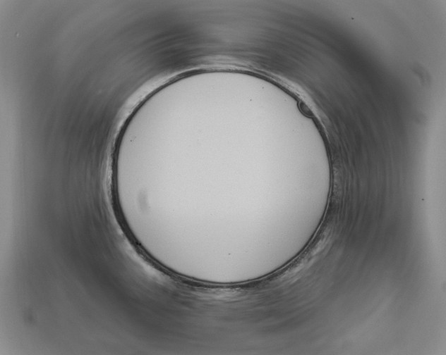 X0000112961387200909241151