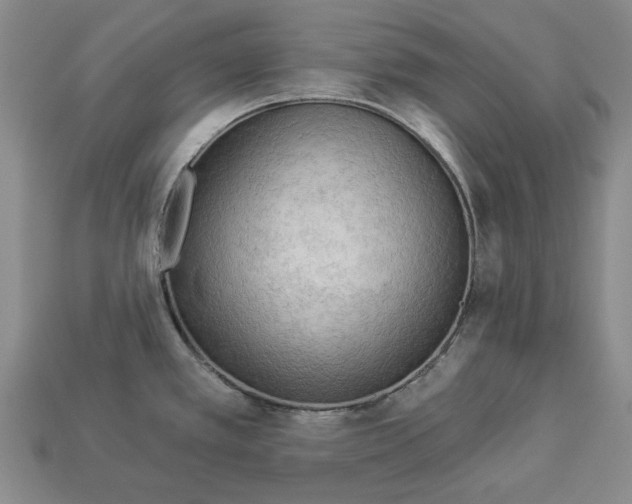 X0000112961389200909241151